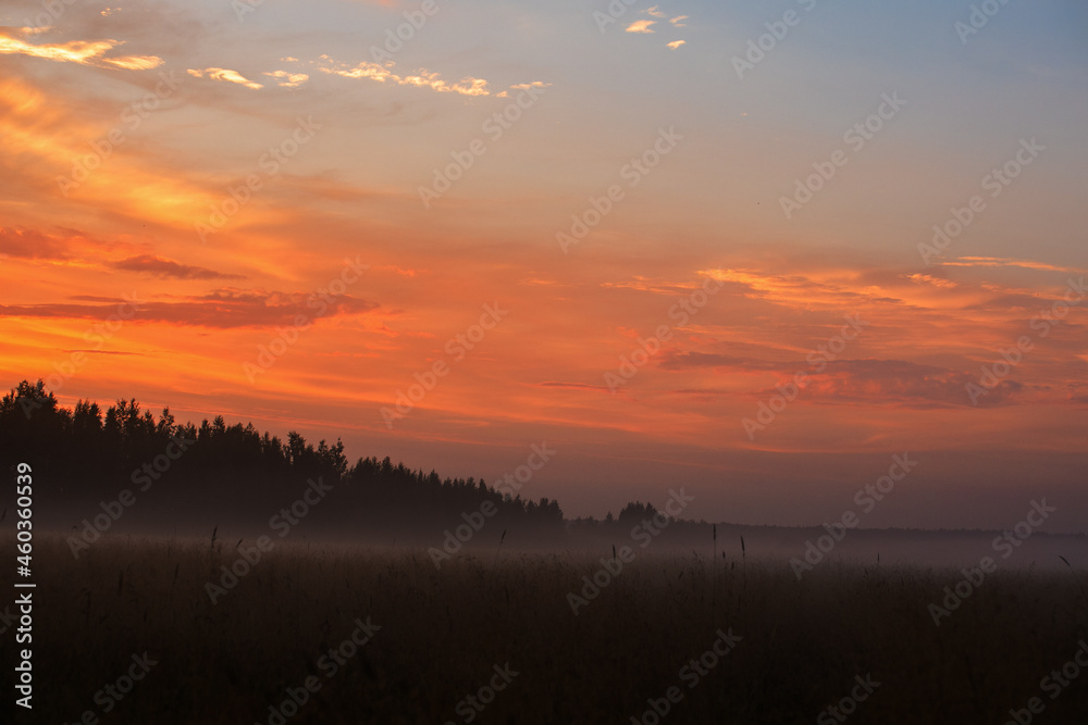 Obraz premium sunset over the field