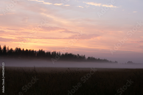sunrise over the field © Anastasia