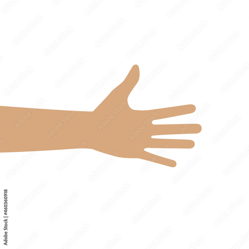 Hand with five fingers vector. Counting man s hand with open palm showing number five isolated
