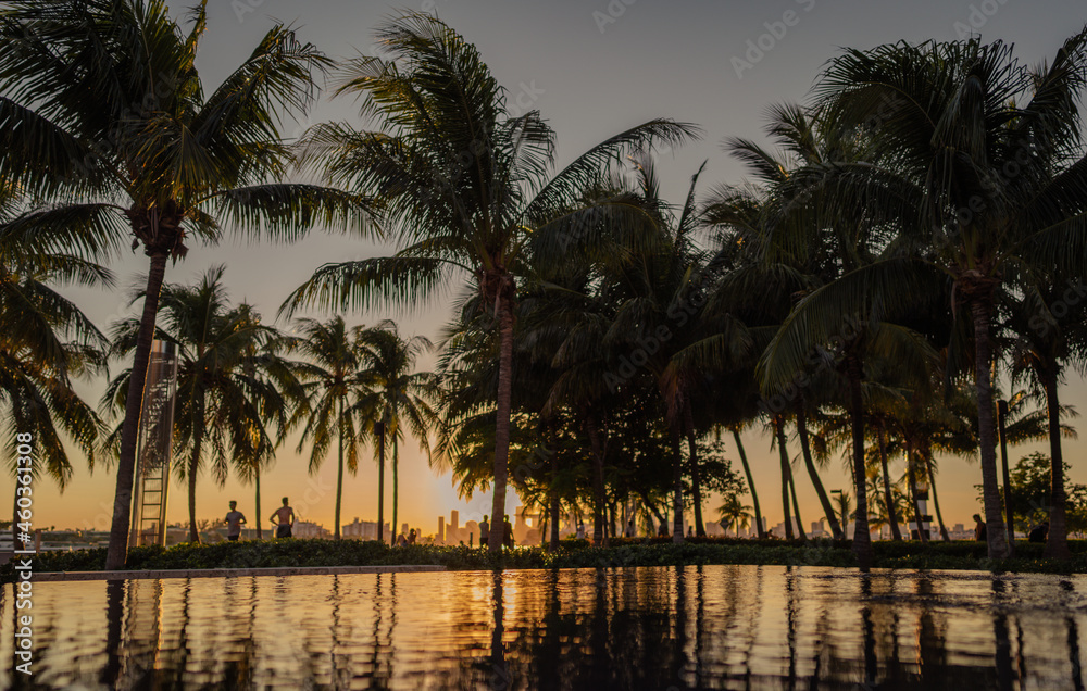 sunset on the beach park south pointe Miami Beach nature palms water sun 