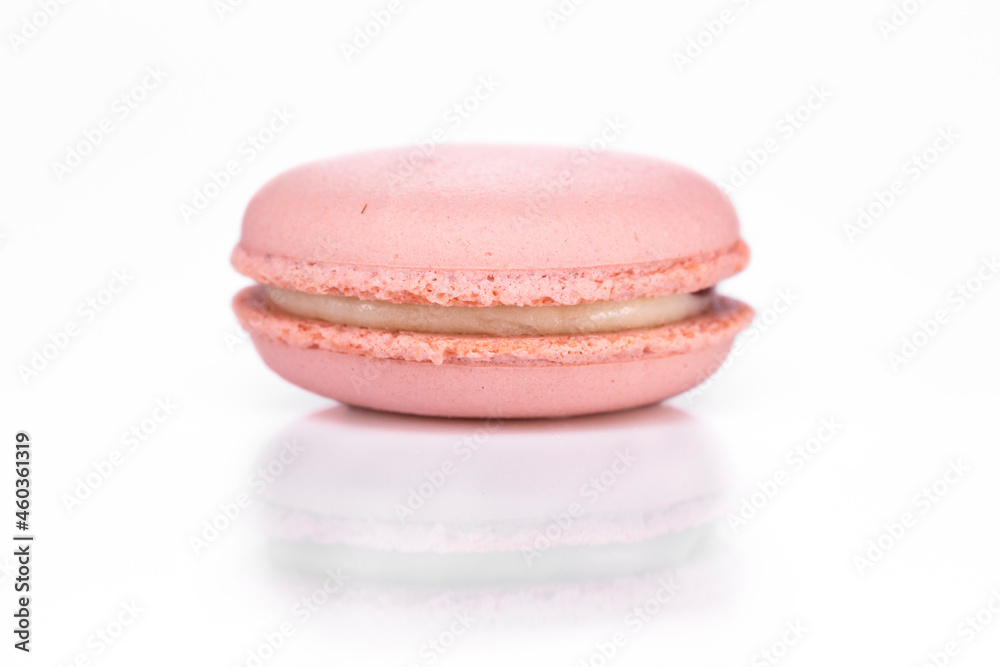 macaroon macaroon