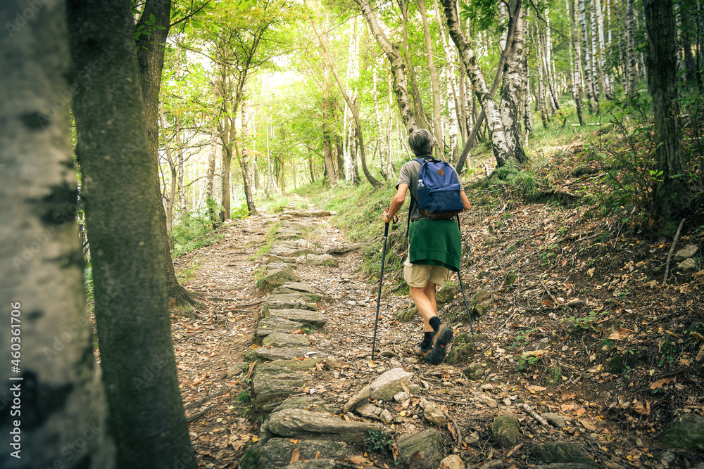 Middle age man walking in the mountain forest. Male with backpack do hike in the nature. Guy goes trekking outdoor in a beautiful park. Outdoors sport. Freedom, relax, leisure and lifestyle concept. Middle age man walking in the mountain forest. Male with backpack do hike in the nature. Guy goes trekking outdoor in a beautiful park. Outdoors sport. Freedom, relax, leisure and lifestyle concept.