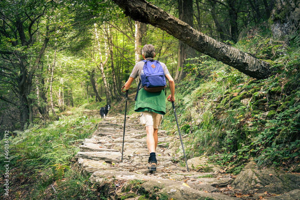 Middle age man walking in the mountain forest. Male with backpack do hike in the nature. Guy goes trekking outdoor in a beautiful park. Outdoors sport. Freedom, relax, leisure and lifestyle concept.