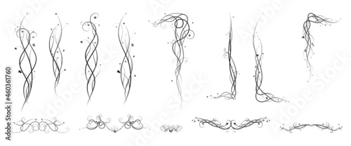 ornament elements grapes climbing plant. sketch