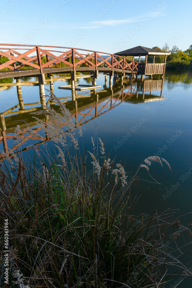 Drewniany mostek na jeziorku - obrazy, fototapety, plakaty 