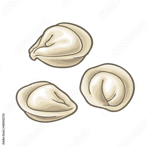 Dumpling. Vintage color vector illustration. Isolated on white