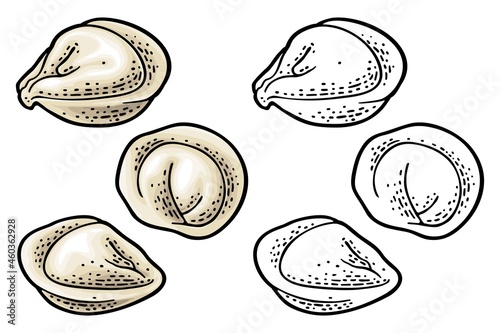 Dumpling. Vintage color vector engraving illustration. Isolated on white