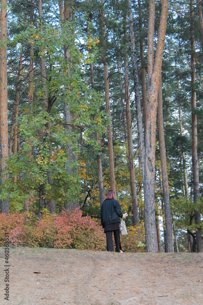 walking in the woods walking in the woods