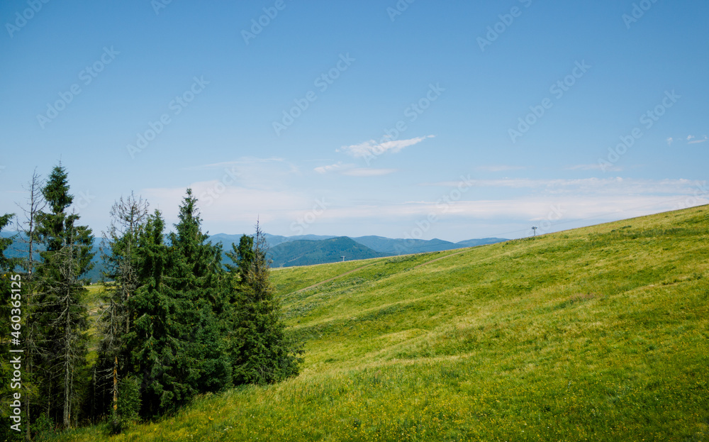 Day view of mountains and grass meadow. Ecology protection, save nature concept. Bright green capathian hills. Beauty of Ukraine landscapes. Travel