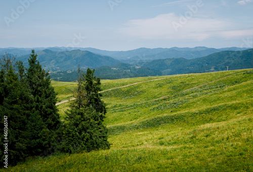 Day view of mountains and grass meadow. Ecology protection, save nature concept. Bright green capathian hills. Beauty of Ukraine landscapes. Travel