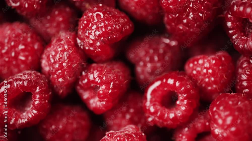 Close up of rotation scarlet raspberry. Macro red fresh raspberries fruit. Handful of juicy ripe berries as food background. Concept of healthy food or organic nutrition and harvest or summer dessert.