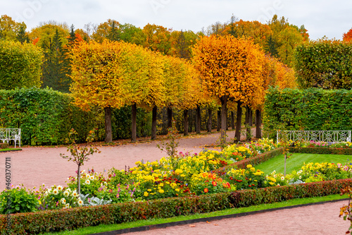 Catherine park in autumn, Tsarskoe Selo (Pushkin), Saint Petersburg, Russia