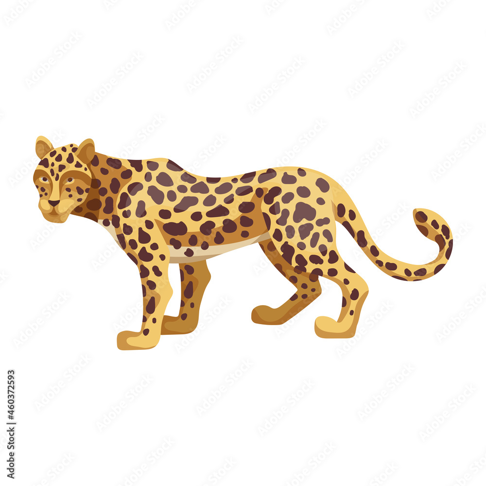 Fototapeta premium Leopard, a wild feline. Cartoon vector graphics.