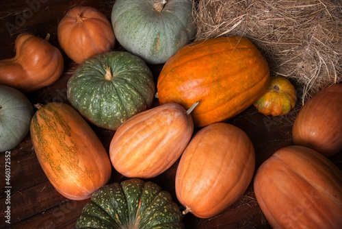 .a lot of orange and green pumpkins on hay on a wooden background. Autumn harvest. Place to insert