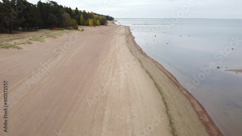 Aerial view of forest beach