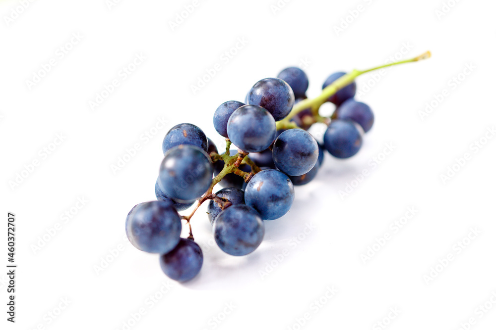 kiść winogron grono ciemne fioletowe - obrazy, fototapety, plakaty 
