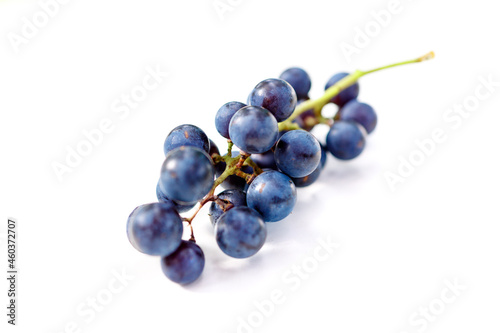 kiść winogron grono ciemne fioletowe