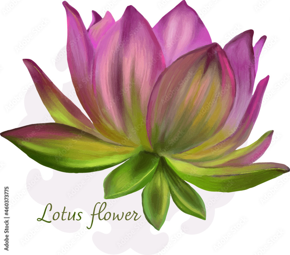 plantas y flores