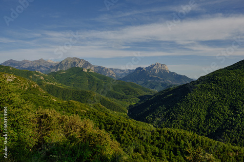 Fototapeta Naklejka Na Ścianę i Meble -  a mountain range covered with greenery