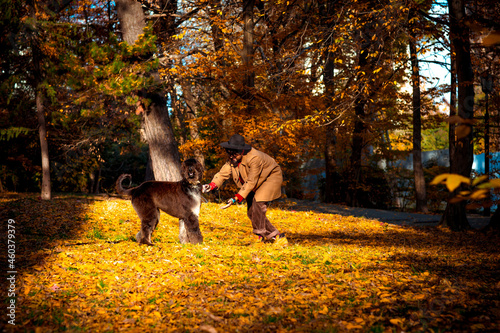a handsome, brutal man in a coat and hat, walking in the park during the day, in autumn, with a large pedigreed dog