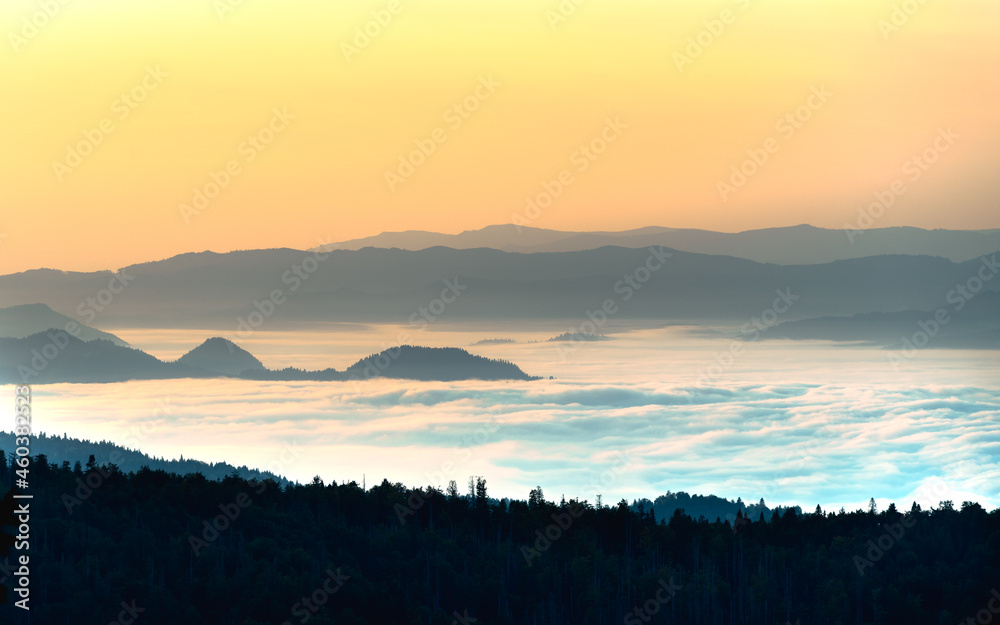 Widok z Turbacza, Pieniny w morzu mgieł, mgły nad kotliną nowotarską