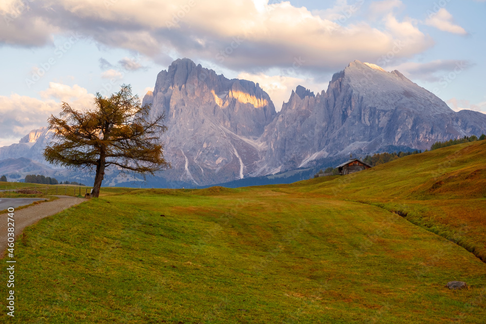Alpe di Siusi (Seiser Alm) alpine meadow in the background with the Sassolungo and Langkofel mountains visible near the town of Ortisei in the province of South Tyrol