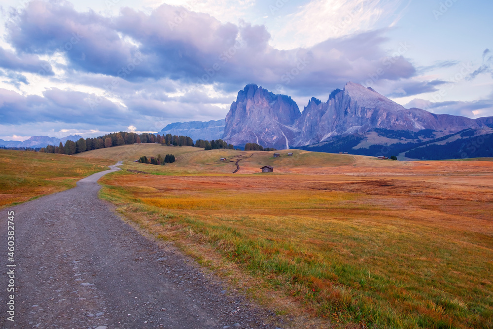 Alpe di Siusi (Seiser Alm) alpine meadow in the background with the Sassolungo and Langkofel mountains visible near the town of Ortisei in the province of South Tyrol