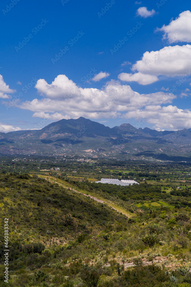 Vertical view landscapes of Hidalgo, Mexico with cactus, green plains,  and mountains near Tasquillo