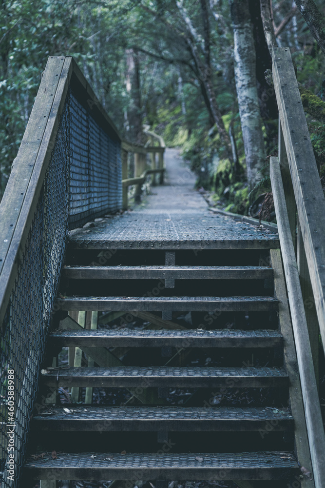 Stair and footpath in Tasmania Stair and footpath in Tasmania