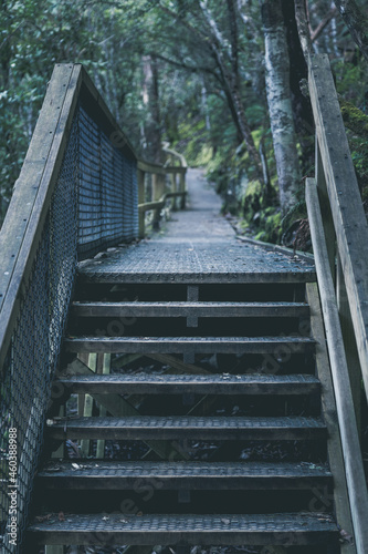 Fototapeta Naklejka Na Ścianę i Meble -  Stair and footpath in Tasmania