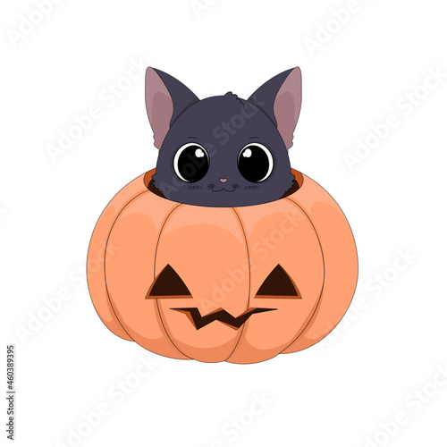 Słodki czarny kot chowający się w wydrążonej dyni. Ilustracja Halloweenowa. Cukierek albo psikus! Uroczy ręcznie rysowany mały kotek. Ilustracja wektorowa.