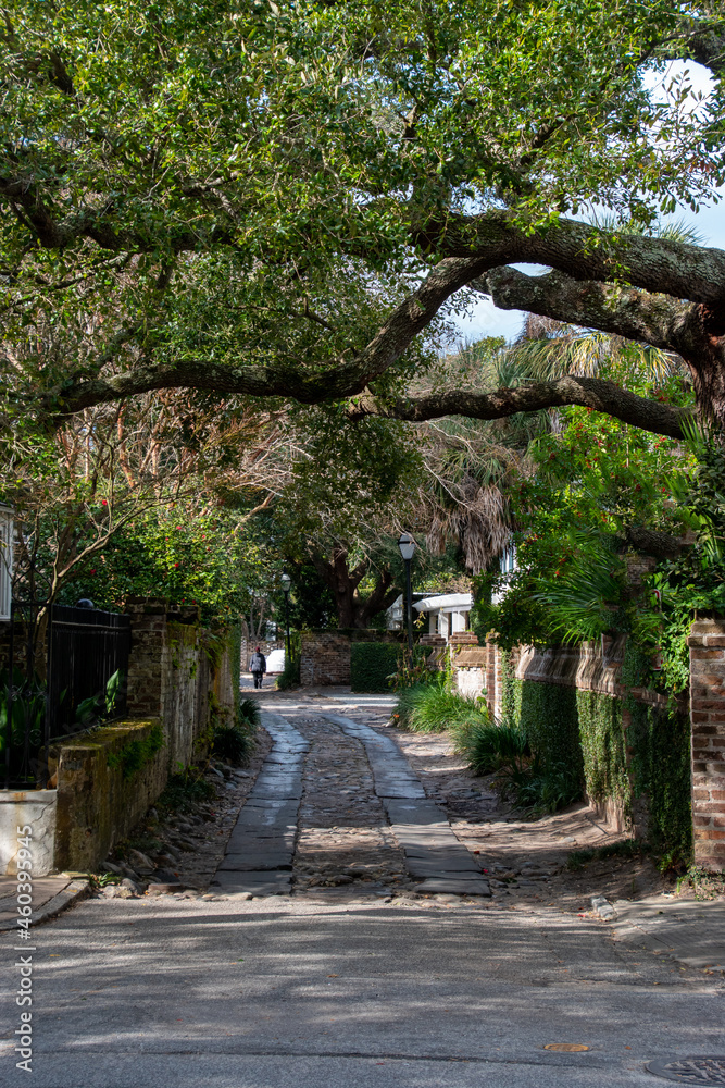 Longitude Lane located in Charleston, South Carolina is an alley that offers a glimpse into some of the hidden backyards and courtyards of Charleston’s oldest homes