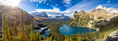 Panoramic View of Glacier Lake with Canadian Rocky Mountains in Background. Sunny Fall Day. Located in Lake O'Hara, Yoho National Park, British Columbia, Canada. Nature Panorama