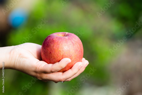 close up hand holding red apple