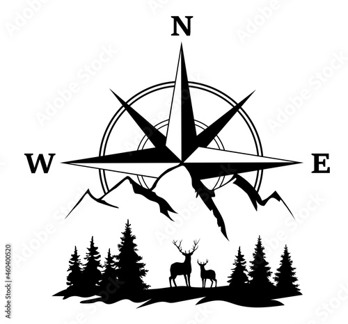vector deer and compass rose photo