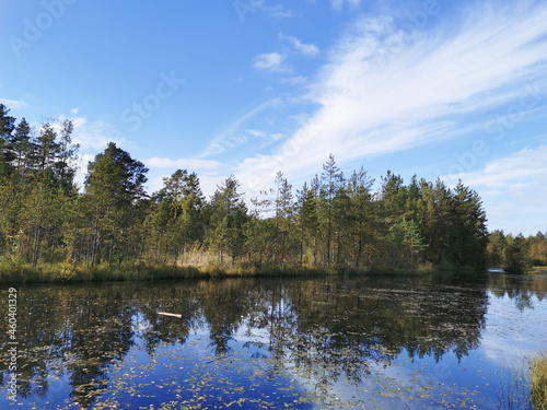 The mirror surface of a forest lake, in which trees and the sky with beautiful clouds are reflected. © Elena