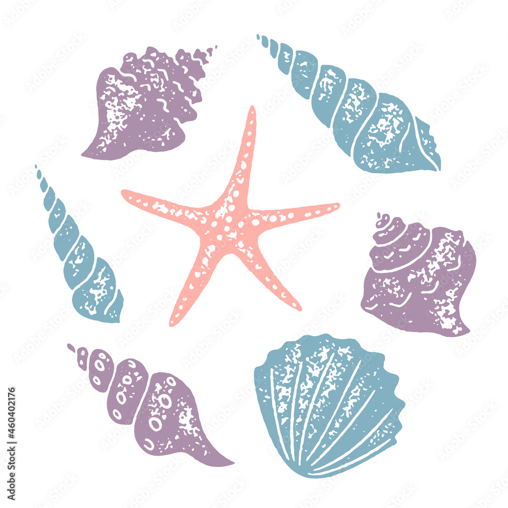 Set of seashells and starfish with grainy texture