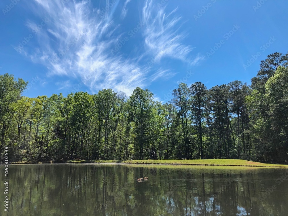 Blue sky above a lake and trees in the background.
