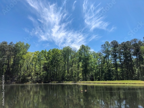 Blue sky above a lake and trees in the background.