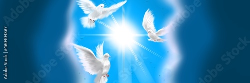 Fototapeta The flying three white doves around shining heaven and the background of the clo
