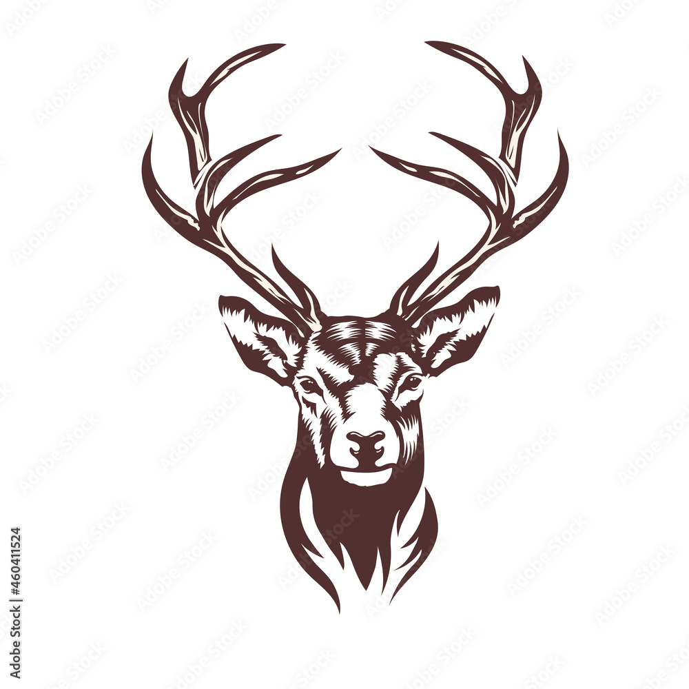 Stylized Deer Head Vector Illustration Vector De Stock Adobe Stock 0673