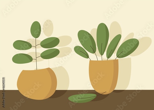 Modern Nordic style arts, minimalist floral designs. Scandinavian botanical design. vector illustration.