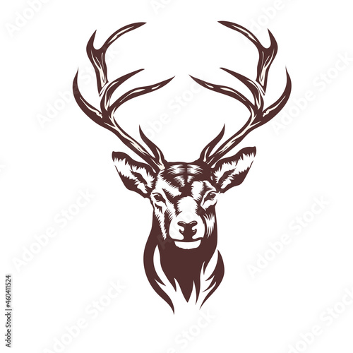 Stylized deer head vector illustration photo