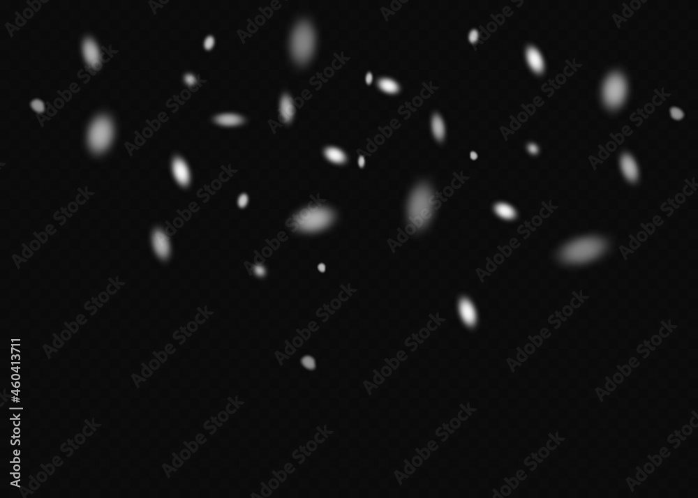 Realistic falling snowflakes. Isolated on transparent background. Vector illustration. Realistic falling snowflakes. Isolated on transparent background. Vector illustration.