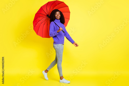 Full size profile photo of cheerful charming dark skin lady walking look camera isolated on yellow color background