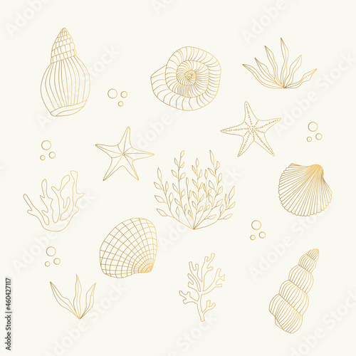 Set of golden shells, starfish, algae, coral. Vector isolated illustration.