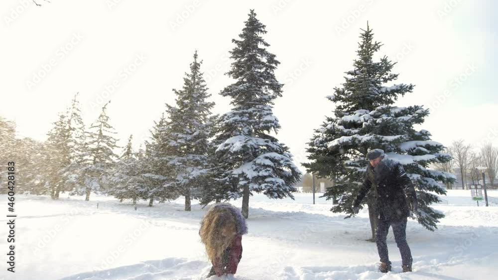 A Beautiful Romantic Couple Playfully Spends Time In A Winter City Park, Playing And Throwing Snow. Cute Man and Woman Having Fun and Enjoying A Walk Through A Snowy Grove. A love story. A Beautiful Romantic Couple Playfully Spends Time In A Winter City Park, Playing And Throwing Snow. Cute Man and Woman Having Fun and Enjoying A Walk Through A Snowy Grove. A love story.