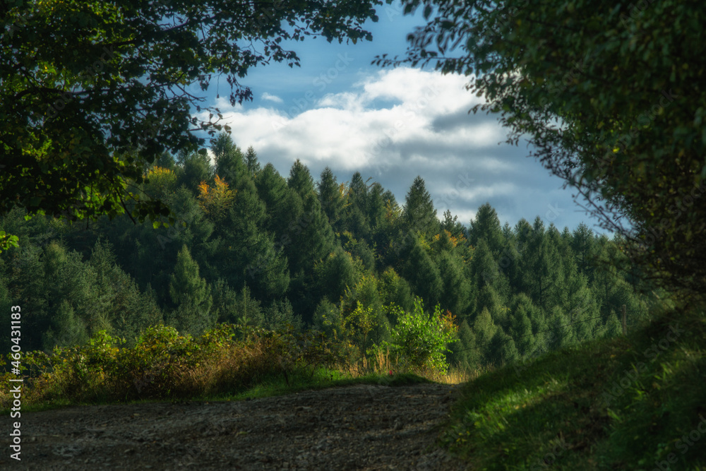 Trail in the Beskidy Mountains in early autumn Trail in the Beskidy Mountains in early autumn