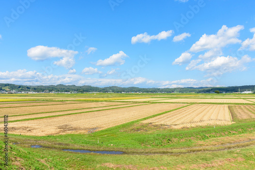 東北の稲作 宮城県蔵王町