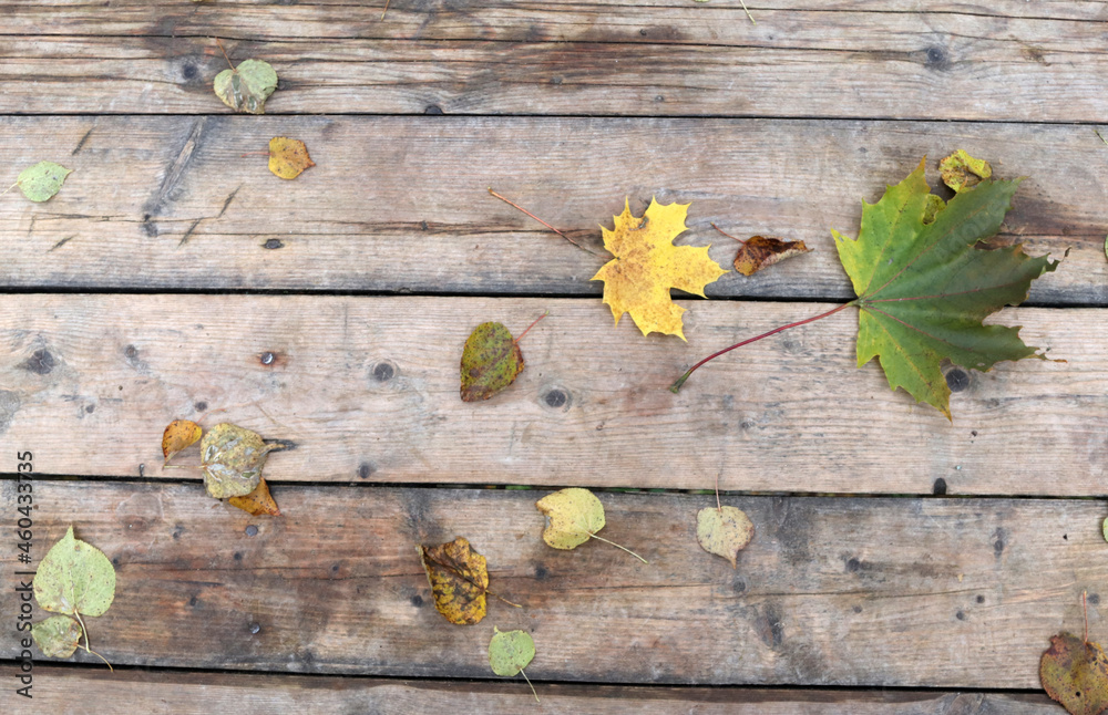 autumn leaves on a wooden bridge